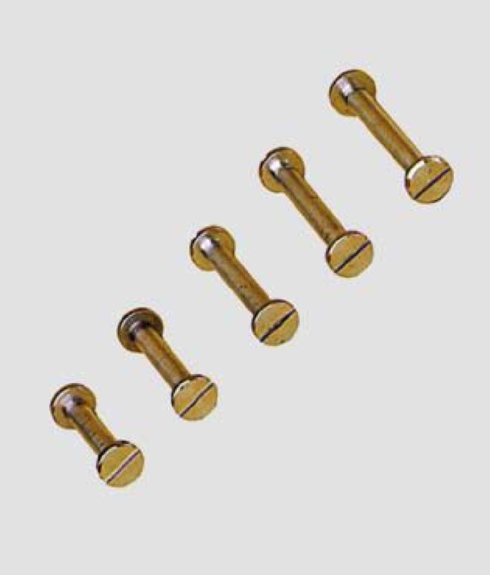 VITE CANNOCCHIALE OTTONE 12X30 CF.2PZ.