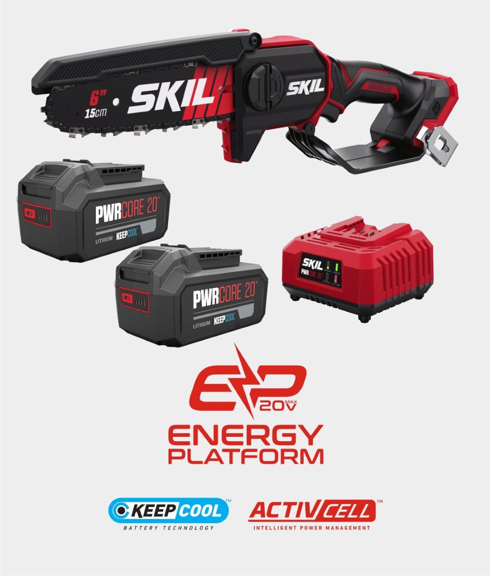 SEGA POTATURA A BATTERIA SKIL 512 +KIT 2X4AH