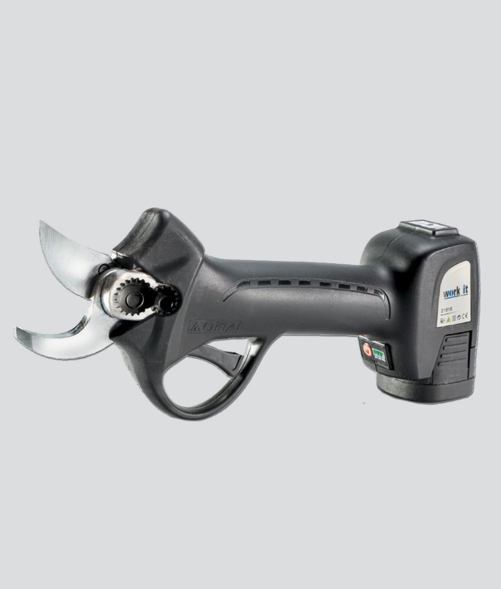 FORBICE POTATURA A BATTERIA WORK IT 30