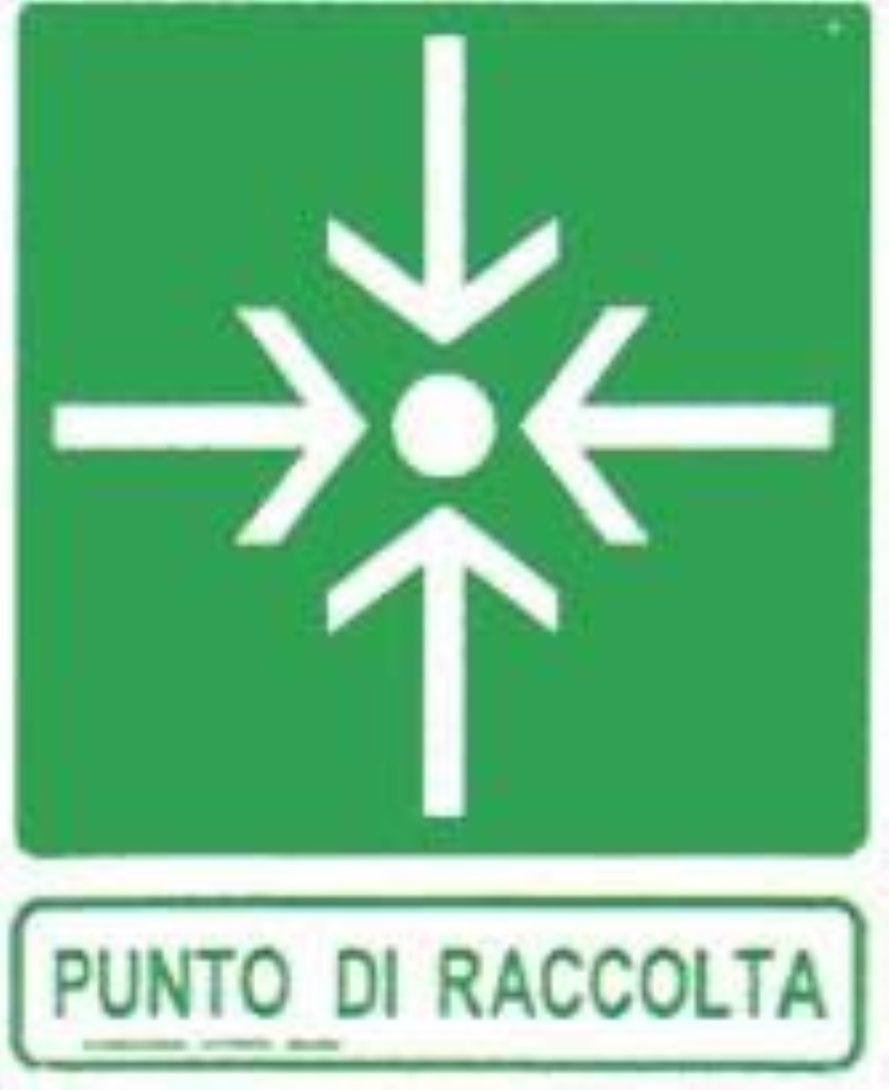 TARGA CEE POL."PUNT/INCON"23X29-375