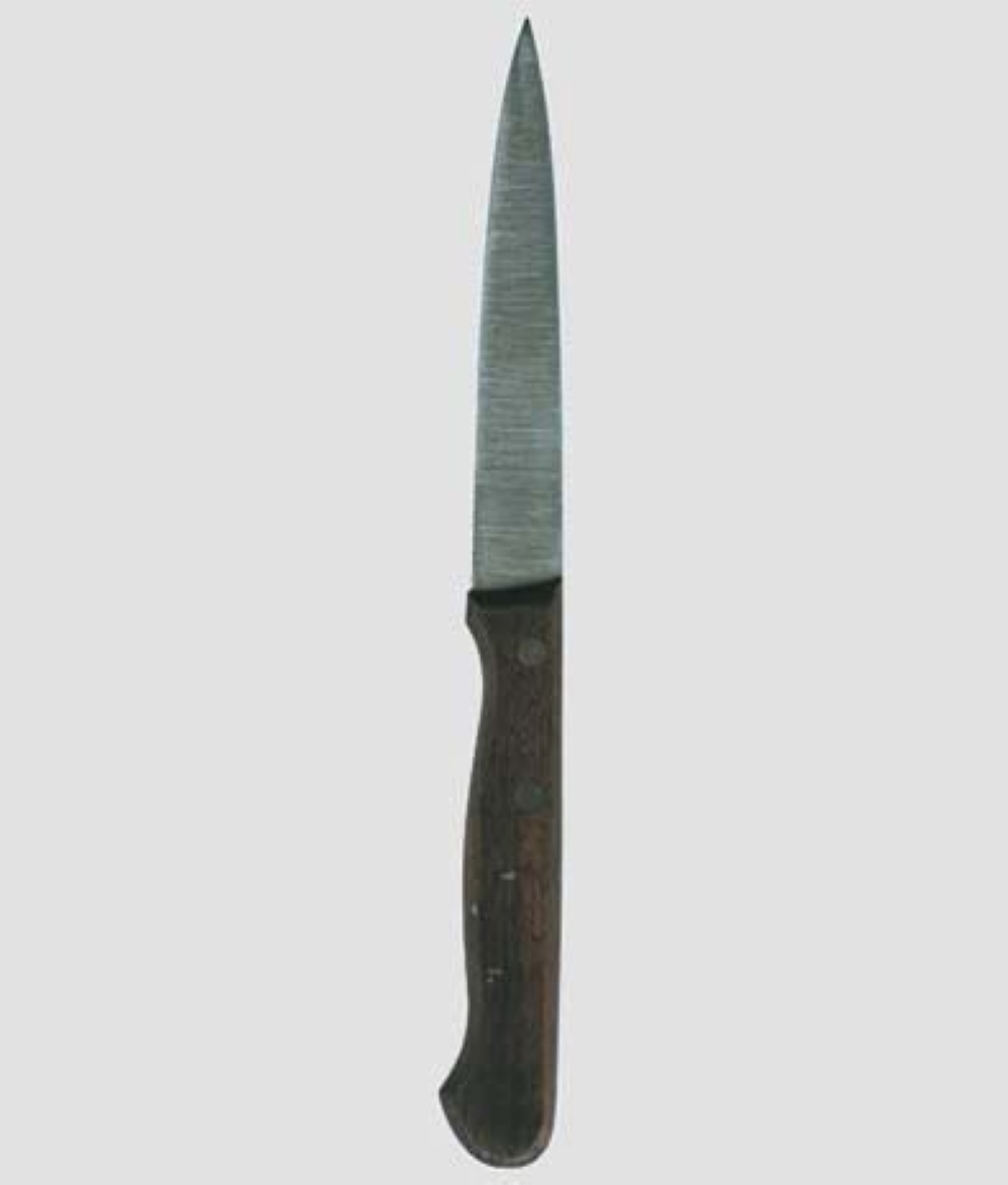 COLTELLO AUSONIA CUCINA