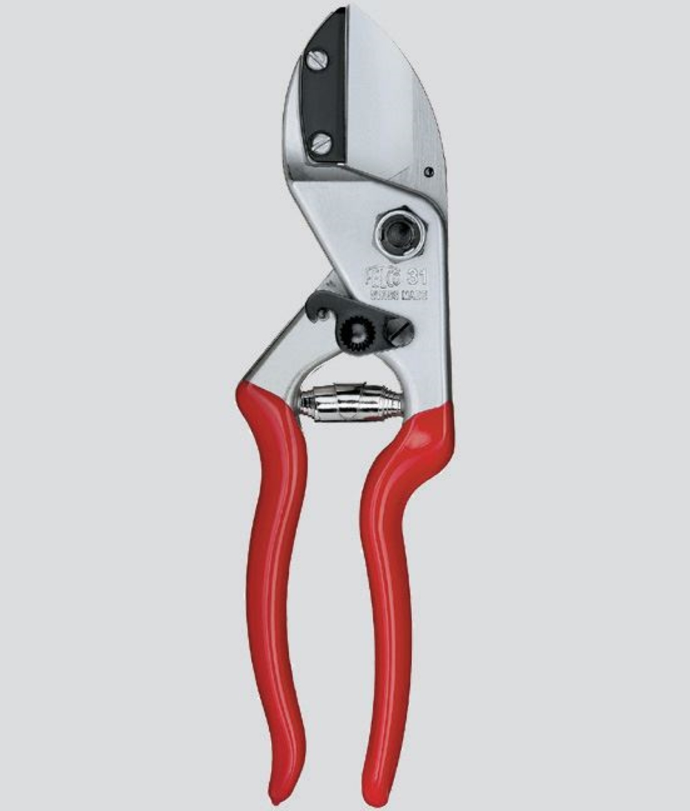 FORBICE FELCO 31