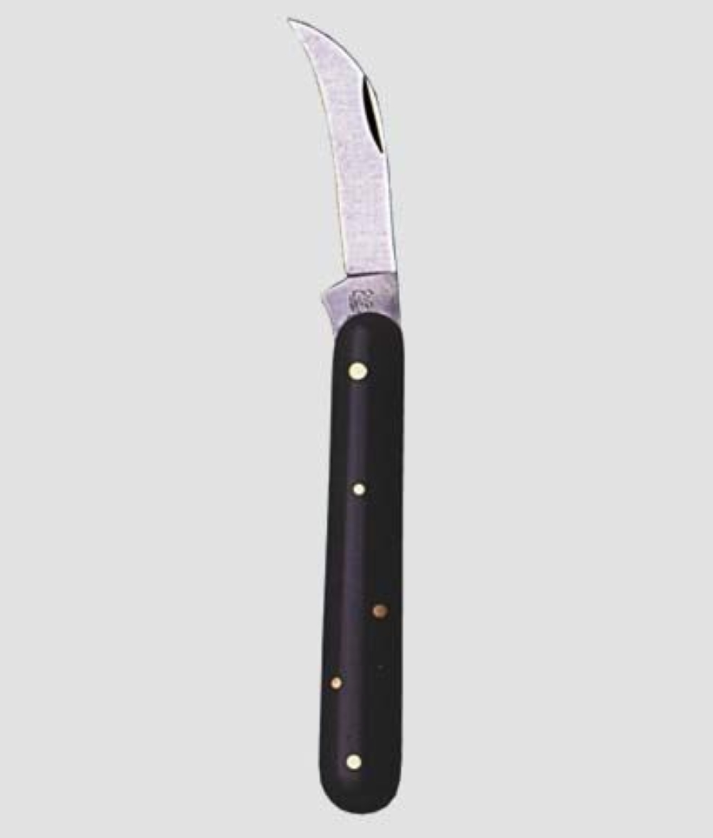 COLTELLO INNESTO AUSONIA