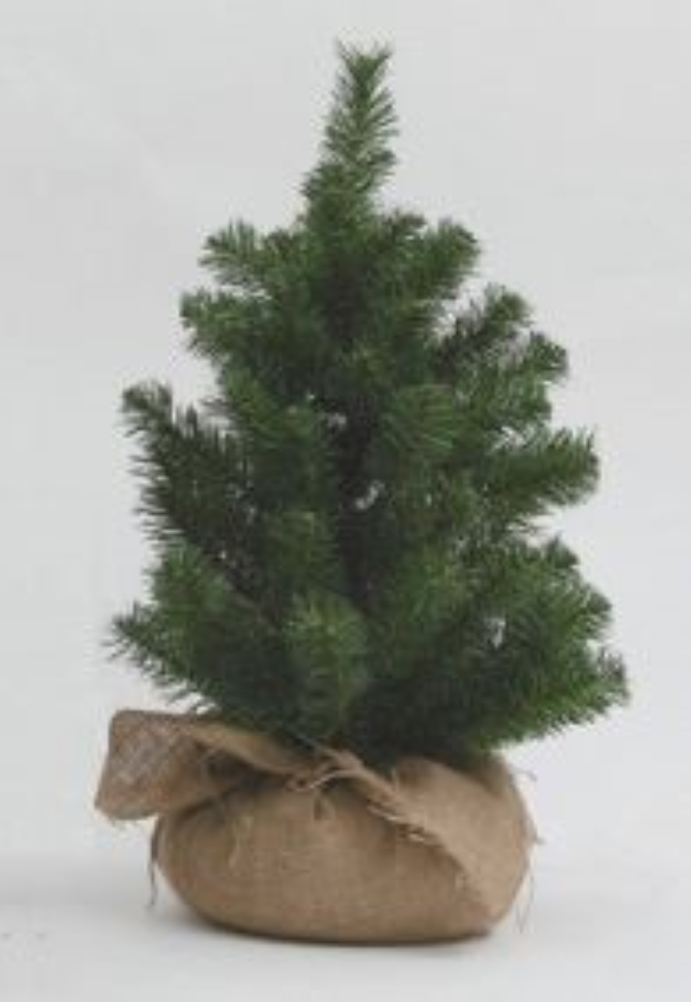 PINO C/SACCO JUTA CM.70