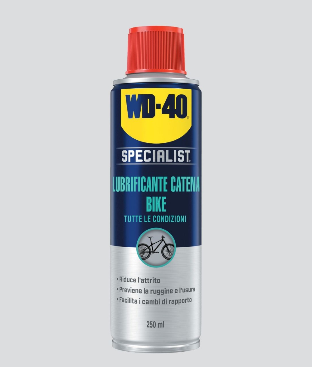 LUBRIFICANTE SPRAY WD40 BIKE